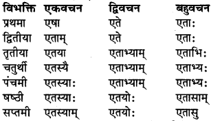 RBSE Class 9 Sanskrit व्याकरण रूप-प्रकरणम् 39