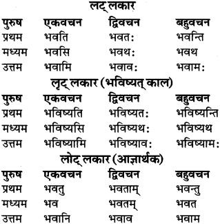 RBSE Class 9 Sanskrit व्याकरण रूप-प्रकरणम् 41