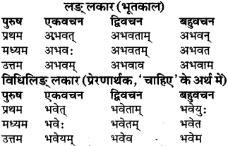 RBSE Class 9 Sanskrit व्याकरण रूप-प्रकरणम् 42
