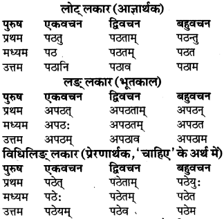 RBSE Class 9 Sanskrit व्याकरण रूप-प्रकरणम् 46