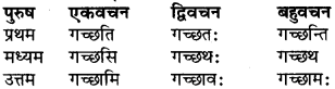 RBSE Class 9 Sanskrit व्याकरण रूप-प्रकरणम् 48
