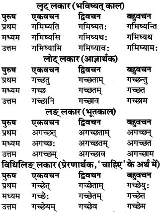 RBSE Class 9 Sanskrit व्याकरण रूप-प्रकरणम् 49
