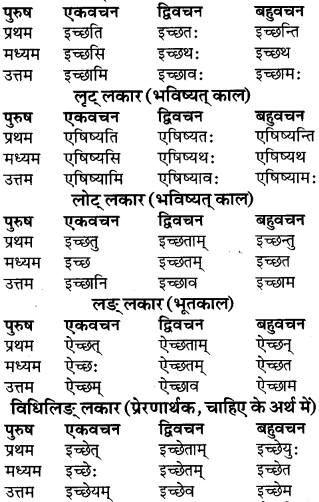 RBSE Class 9 Sanskrit व्याकरण रूप-प्रकरणम् 51