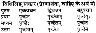 RBSE Class 9 Sanskrit व्याकरण रूप-प्रकरणम् 53