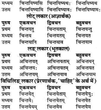 RBSE Class 9 Sanskrit व्याकरण रूप-प्रकरणम् 59