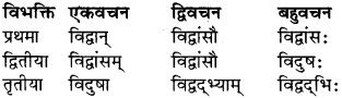 RBSE Class 9 Sanskrit व्याकरण रूप-प्रकरणम् 6