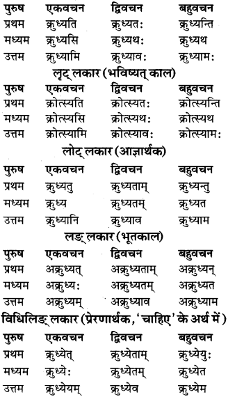 RBSE Class 9 Sanskrit व्याकरण रूप-प्रकरणम् 60