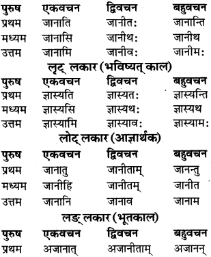 RBSE Class 9 Sanskrit व्याकरण रूप-प्रकरणम् 62