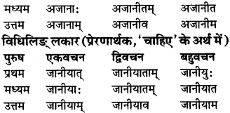 RBSE Class 9 Sanskrit व्याकरण रूप-प्रकरणम् 63