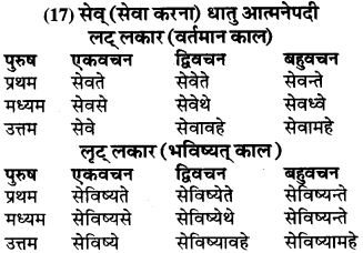 RBSE Class 9 Sanskrit व्याकरण रूप-प्रकरणम् 65