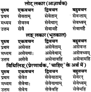 RBSE Class 9 Sanskrit व्याकरण रूप-प्रकरणम् 66
