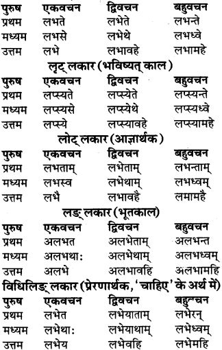 RBSE Class 9 Sanskrit व्याकरण रूप-प्रकरणम् 67