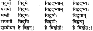 RBSE Class 9 Sanskrit व्याकरण रूप-प्रकरणम् 7