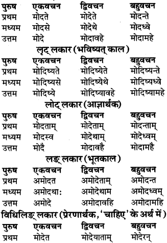 RBSE Class 9 Sanskrit व्याकरण रूप-प्रकरणम् 70