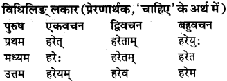 RBSE Class 9 Sanskrit व्याकरण रूप-प्रकरणम् 79