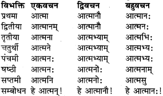 RBSE Class 9 Sanskrit व्याकरण रूप-प्रकरणम् 8