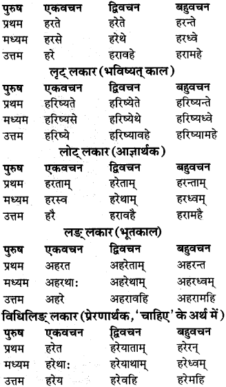 RBSE Class 9 Sanskrit व्याकरण रूप-प्रकरणम् 80
