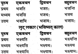 RBSE Class 9 Sanskrit व्याकरण रूप-प्रकरणम् 81