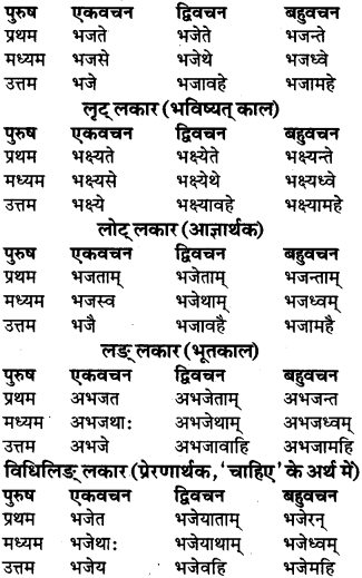 RBSE Class 9 Sanskrit व्याकरण रूप-प्रकरणम् 83
