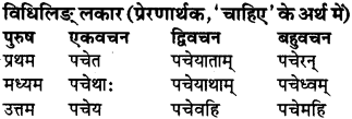 RBSE Class 9 Sanskrit व्याकरण रूप-प्रकरणम् 87