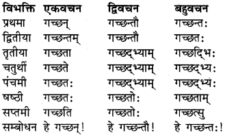 RBSE Class 9 Sanskrit व्याकरण रूप-प्रकरणम् 9