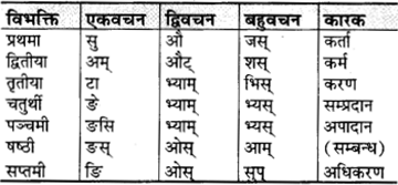 RBSE Class 9 Sanskrit व्याकरणम् 12