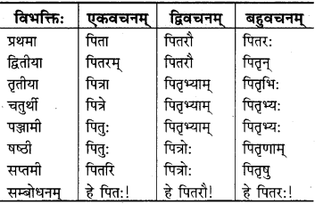 RBSE Class 9 Sanskrit व्याकरणम् 16