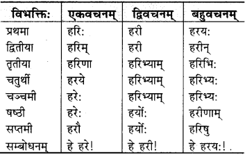RBSE Class 9 Sanskrit व्याकरणम् 17