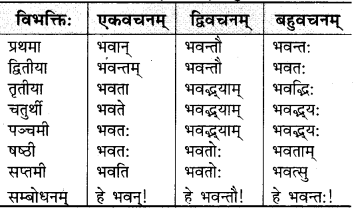 RBSE Class 9 Sanskrit व्याकरणम् 18