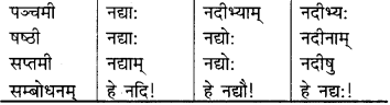 RBSE Class 9 Sanskrit व्याकरणम् 20