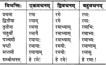 RBSE Class 9 Sanskrit व्याकरणम् 22