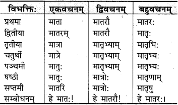 RBSE Class 9 Sanskrit व्याकरणम् 23