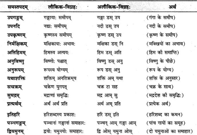 RBSE Class 9 Sanskrit व्याकरणम् 2