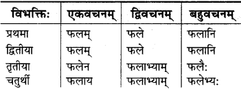 RBSE Class 9 Sanskrit व्याकरणम् 24