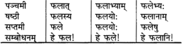 RBSE Class 9 Sanskrit व्याकरणम् 25