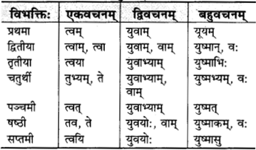 RBSE Class 9 Sanskrit व्याकरणम् 27