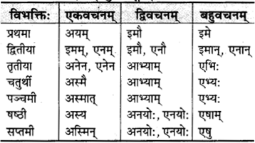 RBSE Class 9 Sanskrit व्याकरणम् 28