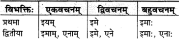 RBSE Class 9 Sanskrit व्याकरणम् 29