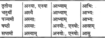 RBSE Class 9 Sanskrit व्याकरणम् 30