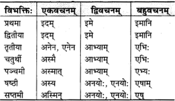 RBSE Class 9 Sanskrit व्याकरणम् 31