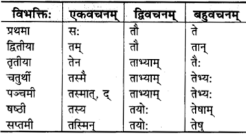 RBSE Class 9 Sanskrit व्याकरणम् 32