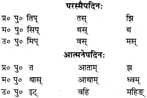 RBSE Class 9 Sanskrit व्याकरणम् 35