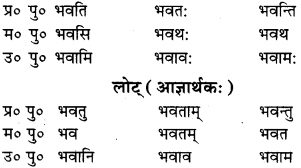 RBSE Class 9 Sanskrit व्याकरणम् 36