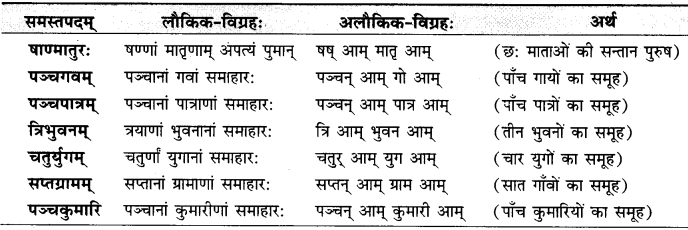 RBSE Class 9 Sanskrit व्याकरणम् 4