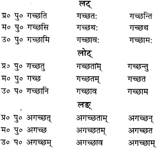 RBSE Class 9 Sanskrit व्याकरणम् 43