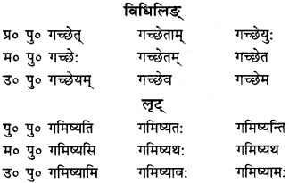 RBSE Class 9 Sanskrit व्याकरणम् 44
