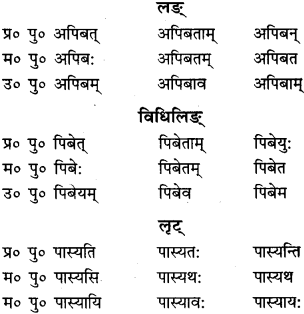 RBSE Class 9 Sanskrit व्याकरणम् 47