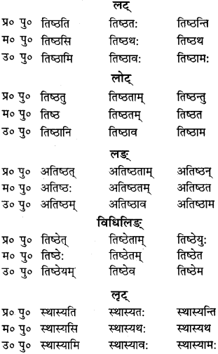 RBSE Class 9 Sanskrit व्याकरणम् 48