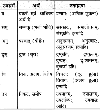 RBSE Class 9 Sanskrit व्याकरणम् 5