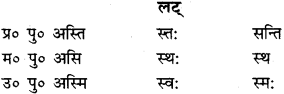 RBSE Class 9 Sanskrit व्याकरणम् 52